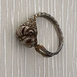 Elegant Silver and Gold Women's Ring